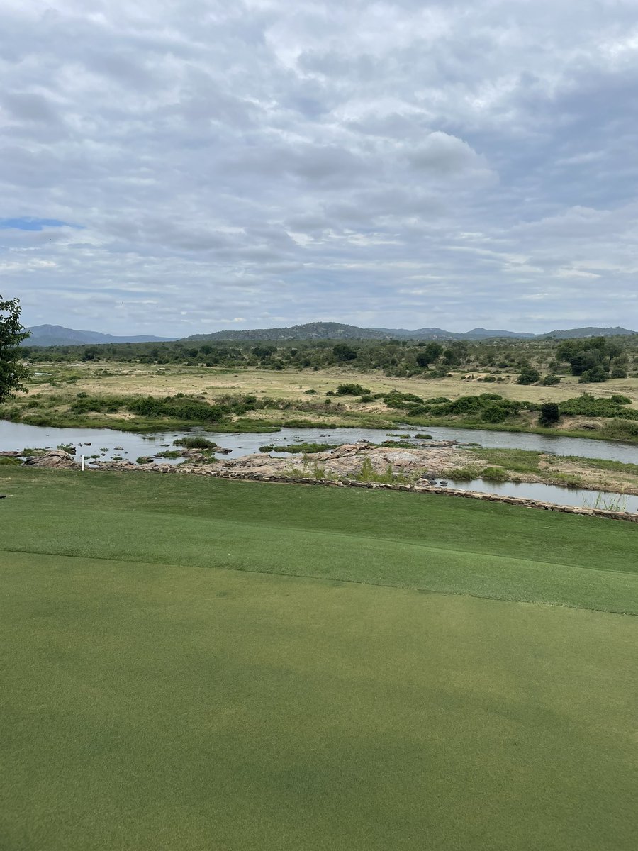 Live Golf SA 🇿🇦 tweet media