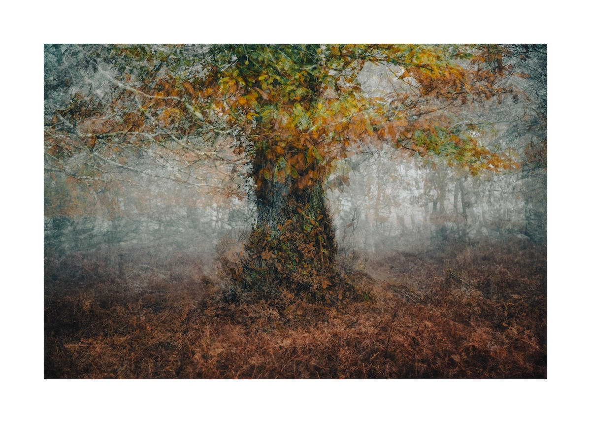 It's time for this week's #FSPrintMonday finalists 🗓

Here are this week's top 4:

- @EdenPhotograph1
- <a href="/drjonrees/">Jon Rees</a>
- @jamesewer
- <a href="/catkin314/">Cathryn Baldock</a>

Congratulations to you all and good luck!

The winners will be announced later today! ⏰

#photography #competition