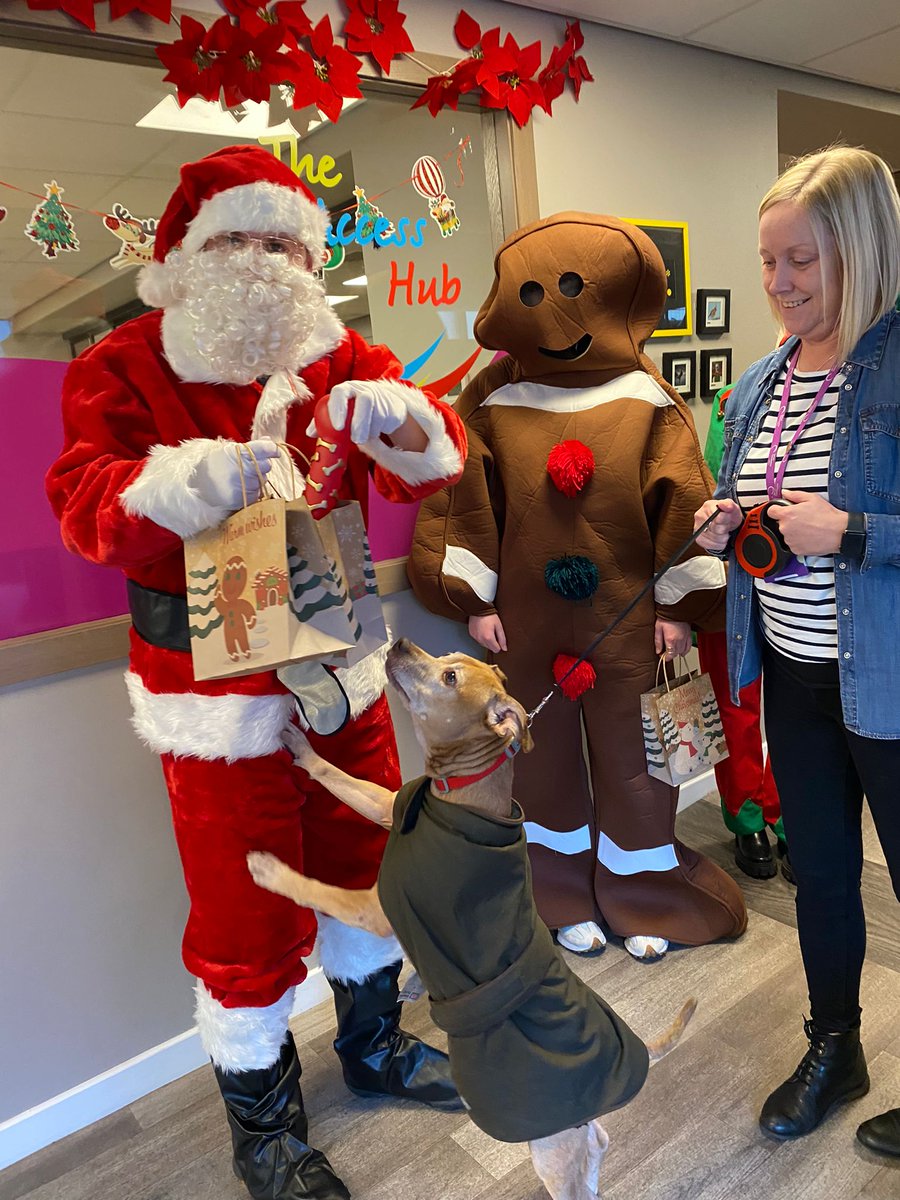 SimonCommScot's tweet photo. HO HO HO we had a visit from Santa Paws to our Trusty Paws vet clinic at our Glasgow Hub today. Thanks to the Gingerbread Man and Santa's elf for also stopping by with treats.

The Gingerbread Man had to  make a swift exit before being eaten up! https://t.co/sKdSm5eyQ8