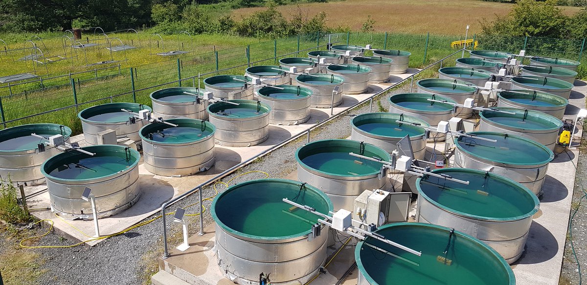 Want to join a UK #mesocosm experiment on N:P imbalance in spring/summer 2023? Get in touch! Deadline 31st January. <a href="/UK_CEH/">UK Centre for Ecology & Hydrology</a> <a href="/aquacosm/">AQUACOSM</a>
aquacosm.eu/transnational-…
