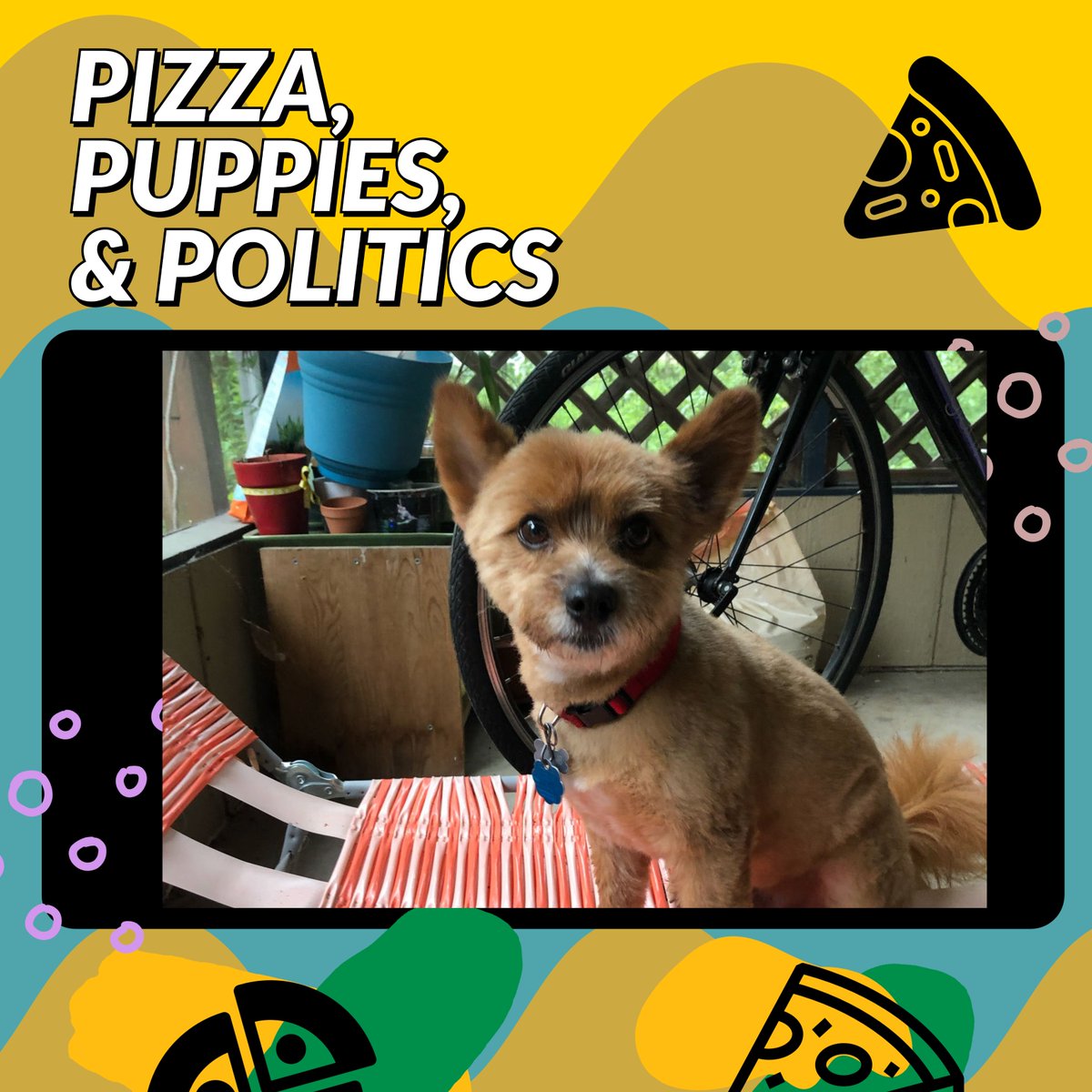 Indiana University Department of Political Science tweet media