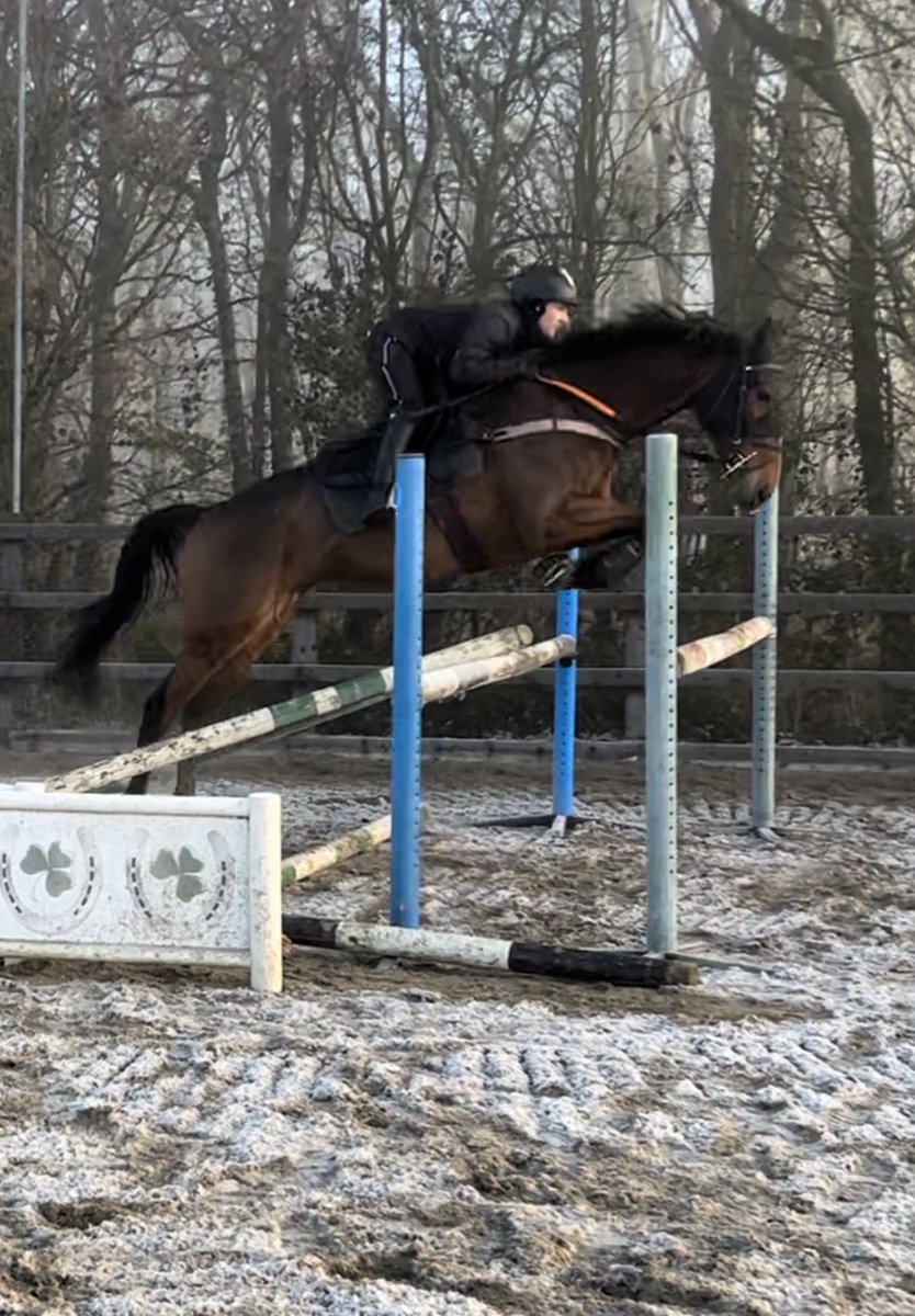 Some Christmas homework for French Paradoxe with @CollettEventing this morning @mickfitzg