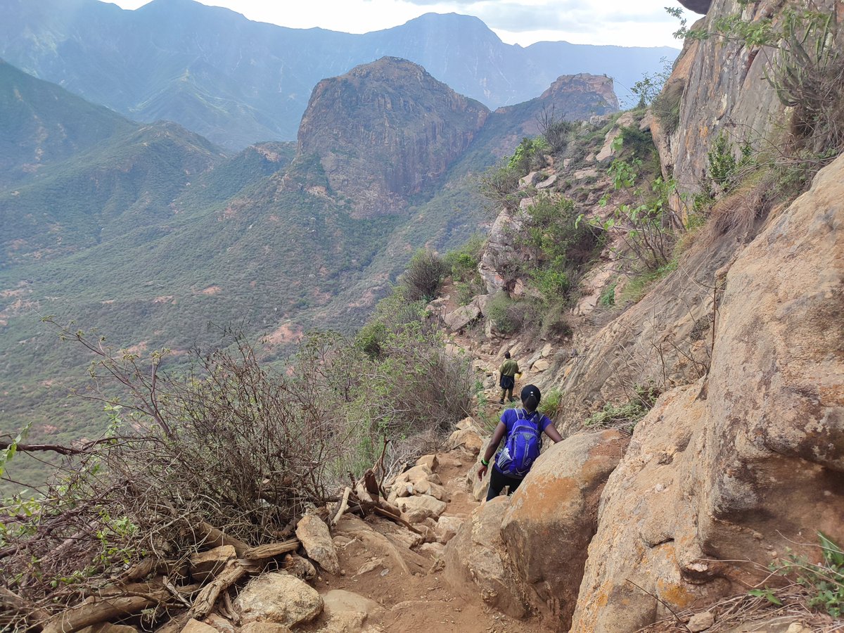 Hiking Adventures tweet media