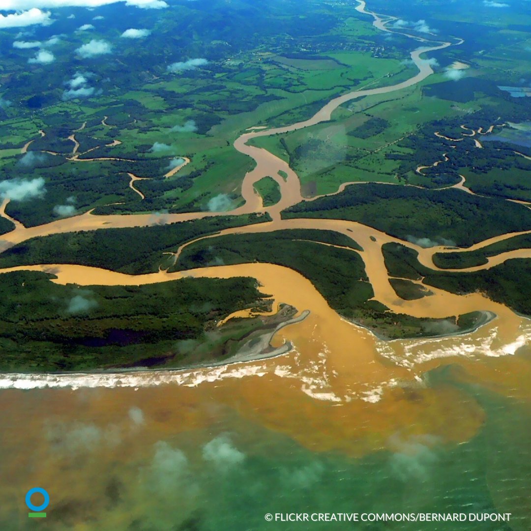 In collaboration with local organizations and authorities, @CICostaRica carried out the largest mangrove restoration in the region, restoring over 330 hectares of mangroves in the Puntarenas Estuary and Níspero Wetlands.