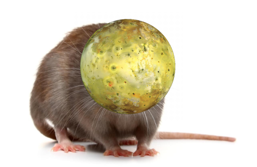 FichierZipp's tweet photo. Rat io (Ratio) c'est chaud https://t.co/N5Nj6uBok3