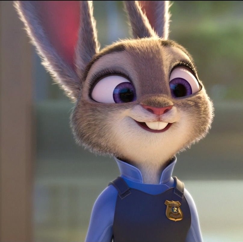 Judy Rabbit tweet media