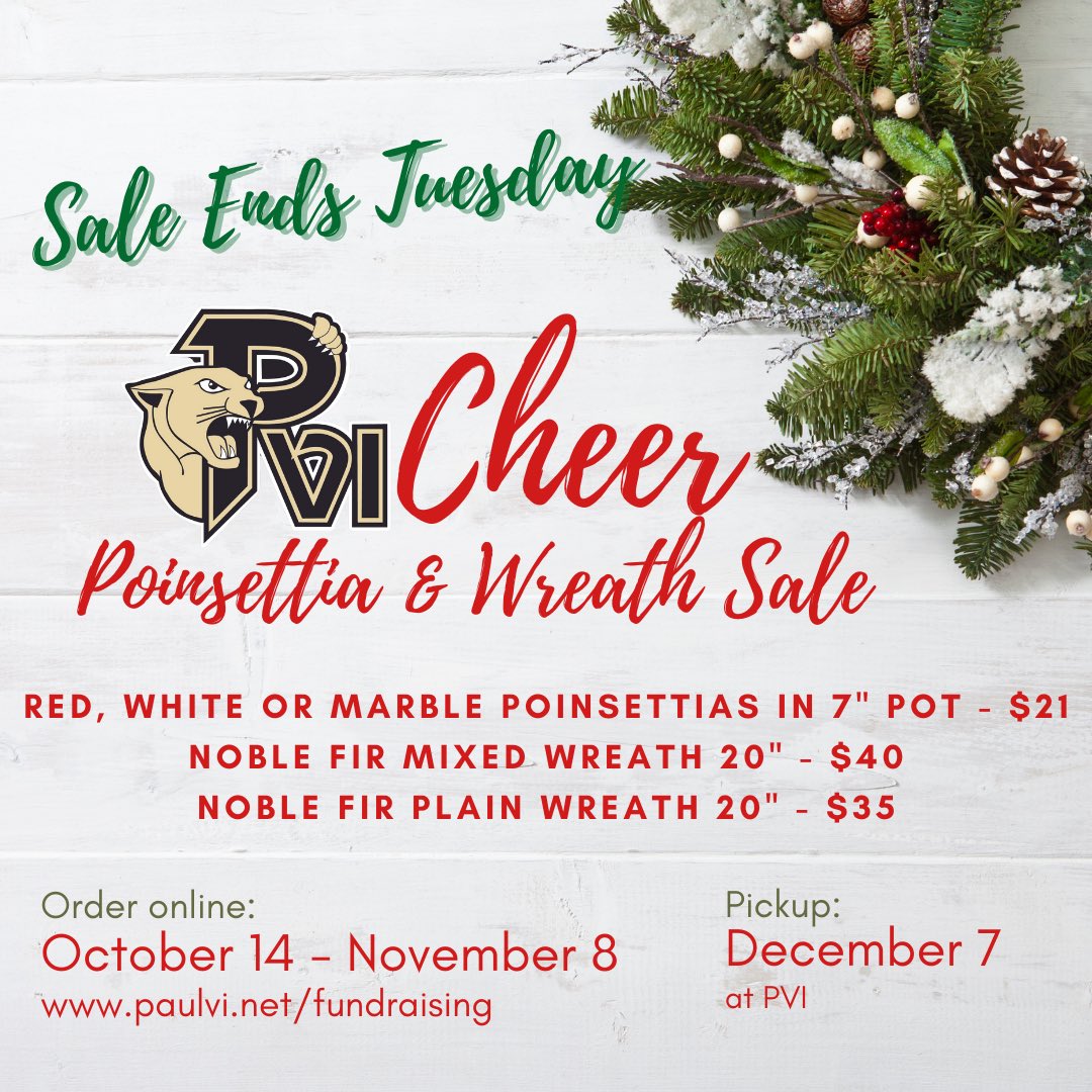 PVI Cheer tweet media