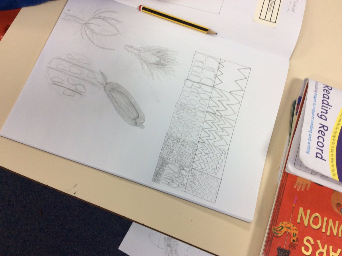 GSPSRussia's tweet photo. We used a range of drawing techniques to show what we imagined was in some natural forms such as thistle heads and squashes @GwladysStPrim #gspsart https://t.co/gojqR2ghUp