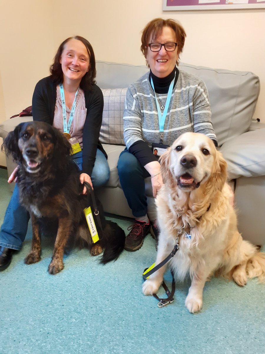 The Mother & Baby Unit @LothianSjh were delighted to have a visit from @CanineConcern @TherapetC volunteers Annette and Lesley with TheraPet dogs Andrew and Harvest. Thank you so much, what a difference this makes to the patients & staff. Happy wee souls #therapetdogs