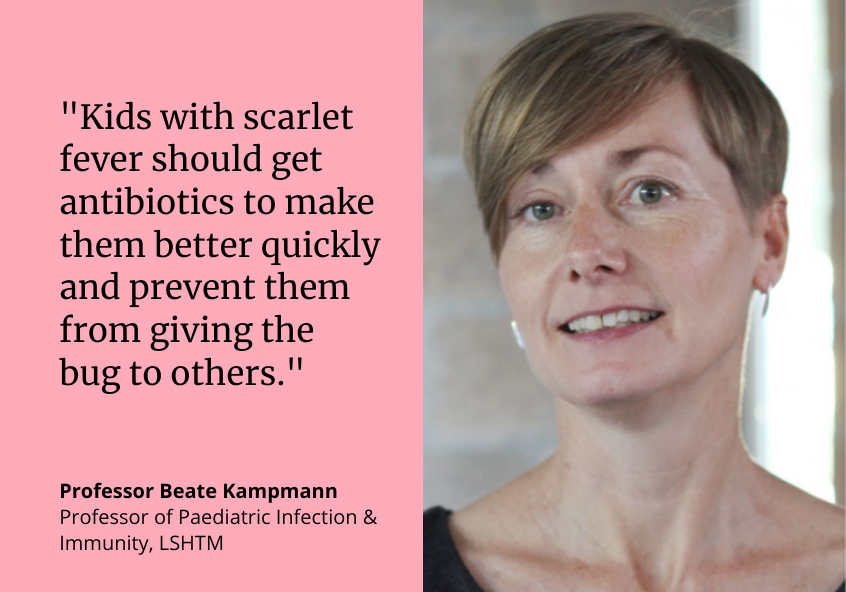 LSHTM's tweet photo. Worried about #ScarletFever #StrepA? 

Professor of Paediatric Infection &amp; Immunity @BeateKampmann discusses the warning signs parents should look for, how to treat it &amp; what further measures may be needed 💊 

Read more 👉 https://t.co/GwRSIlY4Ky https://t.co/M0125O9TQw