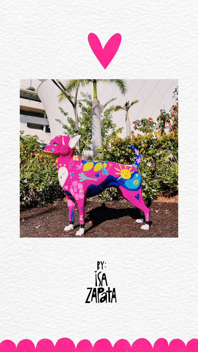 Isa Zapata ® tweet media