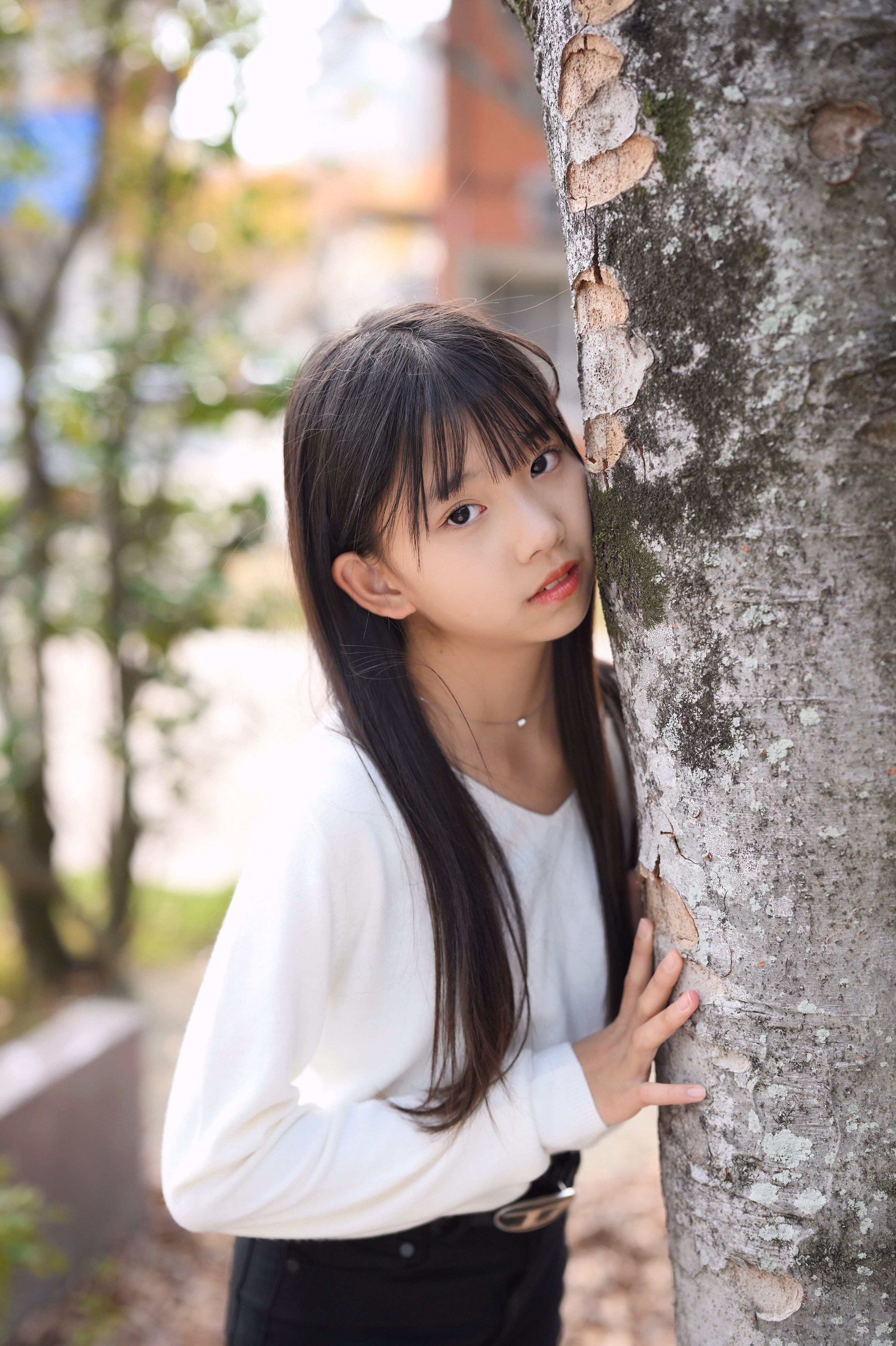 せたがや on X: 