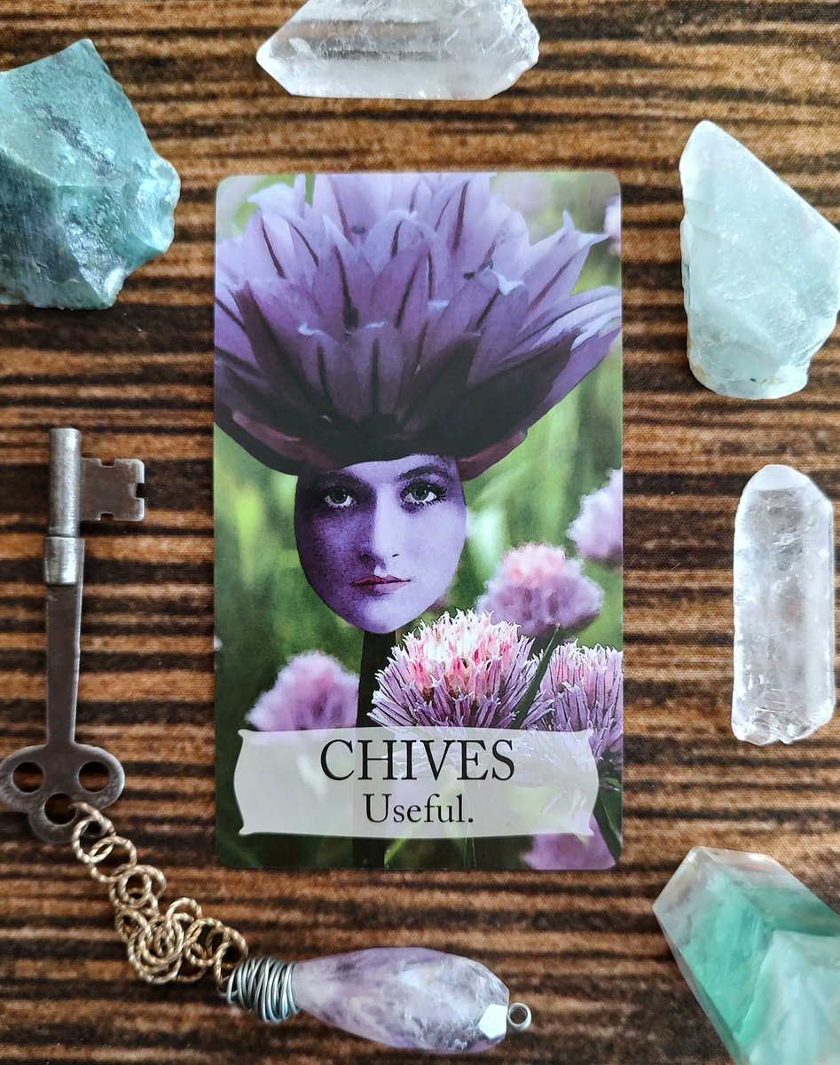 FairySurreal's tweet image. When someone else needs guidance or advice, you step up to help and nurture them. You invest time and effort wisely. #floriography #floweroracle #botanicaloracle #chive #tarot #magick  buff.ly/3sGBPdY