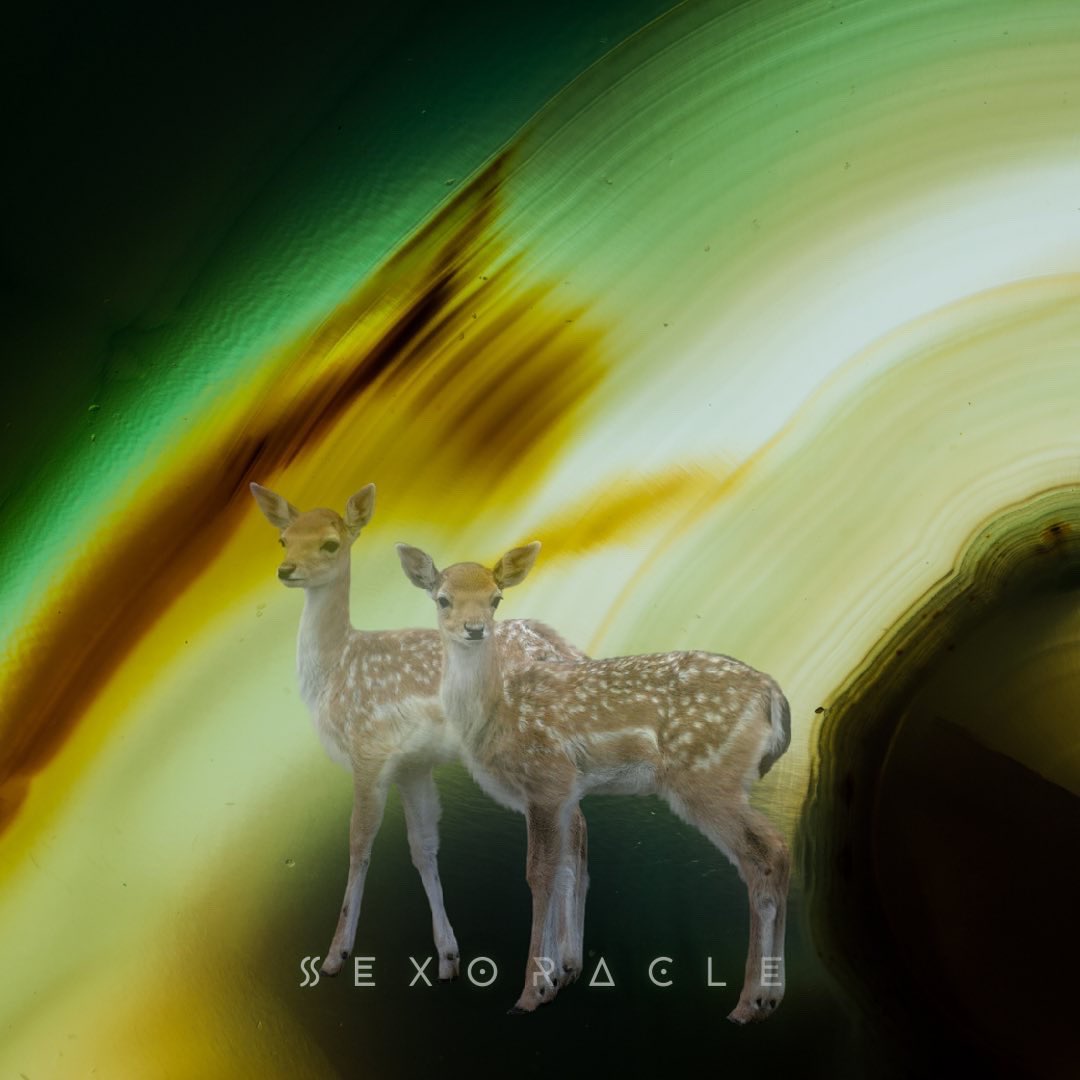 Happy Gemini full moon! 
Caroline Casey says, “Mercury summons telepathic universe- we’re always in communication whether we know it or not.” And this feels especially apt for this lunation.