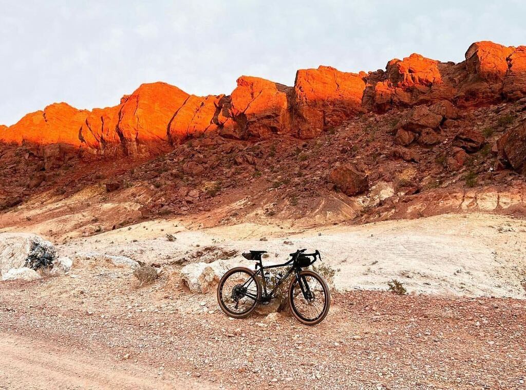 Rodeo Adventure Labs tweet media