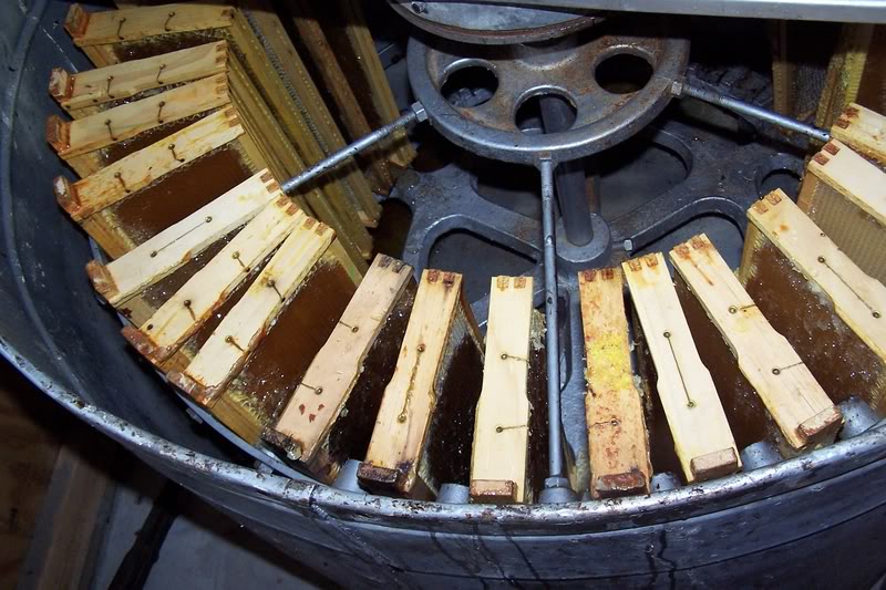 LaTiendaDelApicultor tweet media