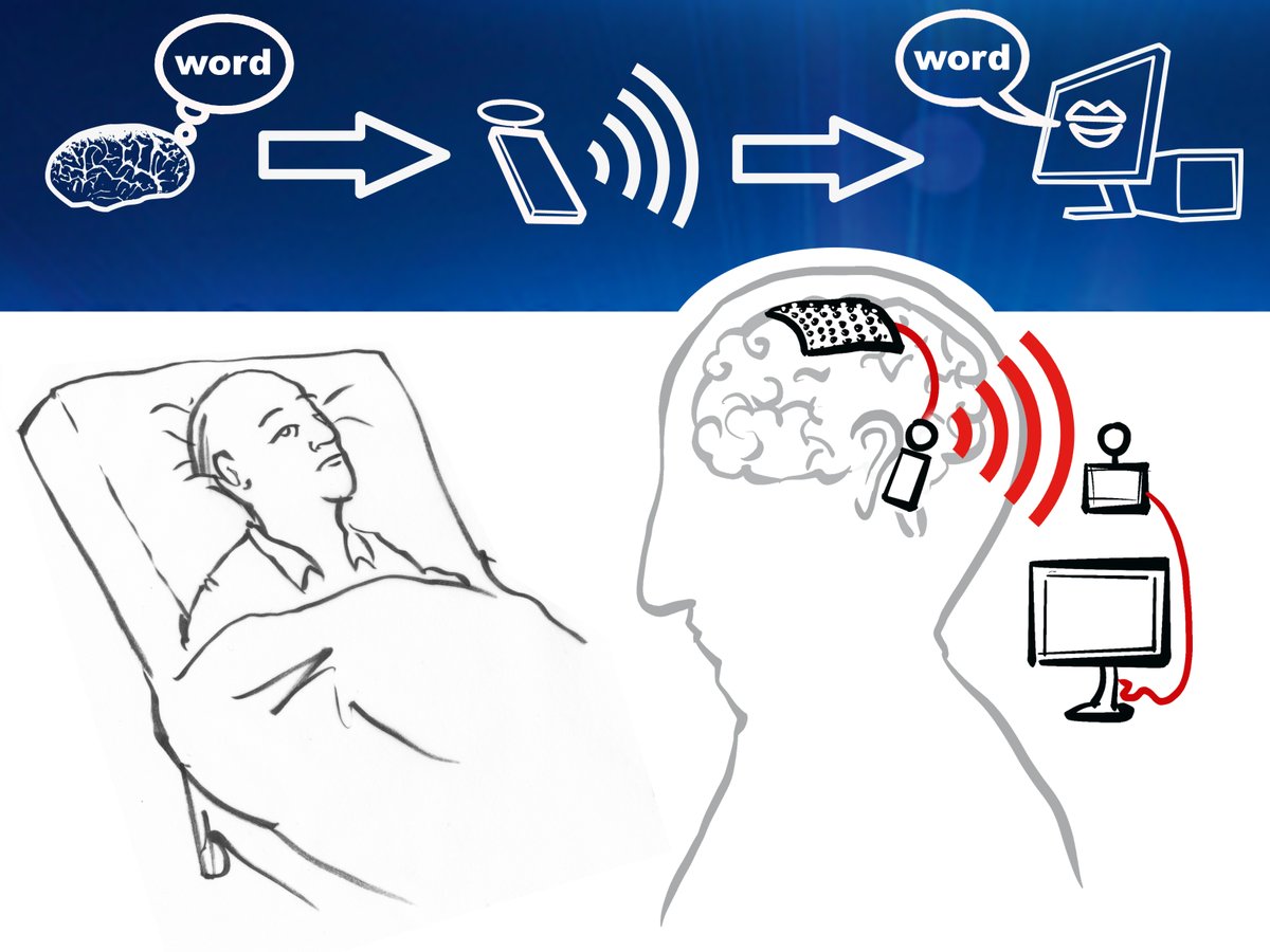 Travelling back from Genéva the the <a href="/Wysscenter/">Wyss Center</a> from our <a href="/EUeic/">European Innovation Council</a> Pathfinder INTRECOM project kick-off meeting. Was great to start that wonderful project!
+ UMC Utrecht, +CorTec <a href="/tugraz/">TU Graz</a> <a href="/tugraz_csbme/">Computer Science & Biomedical Engineering @TUGraz</a> <a href="/GrazBCI/">Graz BCI Conference</a>