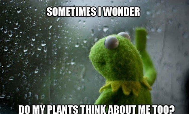 CallumGardens0's tweet photo. Do They? https://t.co/EaStop6XbJ