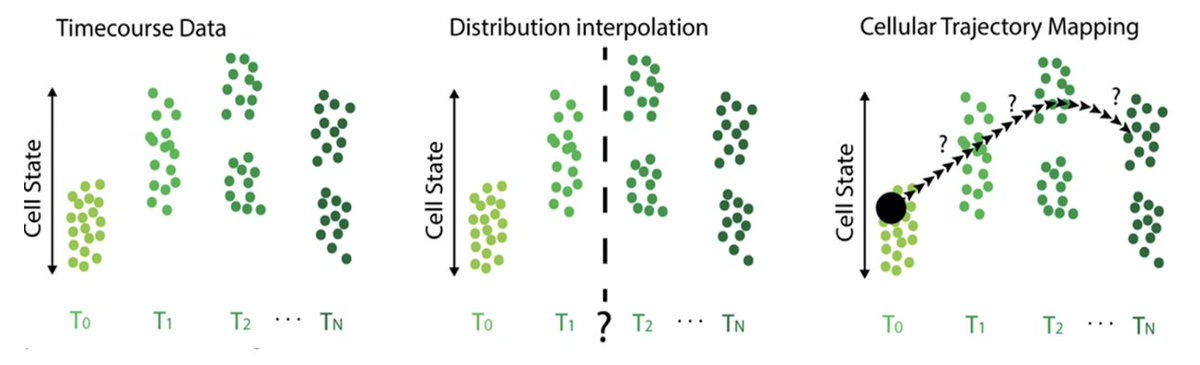 Krishnaswamy Lab (@krishnaswamylab) on Twitter photo (1/n) Excited to present our next advance in inferring dynamics from static snapshot data w/ dynamic optimal transport and neural ODEs: MIOFlow at <a href="/NeurIPSConf/">NeurIPS Conference</a> as a spotlight talk! This work was lead by <a href="/Guillaume_hu/">Guillaume Huguet</a>, Sumner Magruder, <a href="/AlexanderTong7/">Alex Tong</a> !
openreview.net/forum?id=ahAEh… (1/n) Excited to present our next advance in inferring dynamics from static snapshot data w/ dynamic optimal transport and neural ODEs: MIOFlow at <a href="/NeurIPSConf/">NeurIPS Conference</a> as a spotlight talk! This work was lead by <a href="/Guillaume_hu/">Guillaume Huguet</a>, Sumner Magruder, <a href="/AlexanderTong7/">Alex Tong</a> !
openreview.net/forum?id=ahAEh…