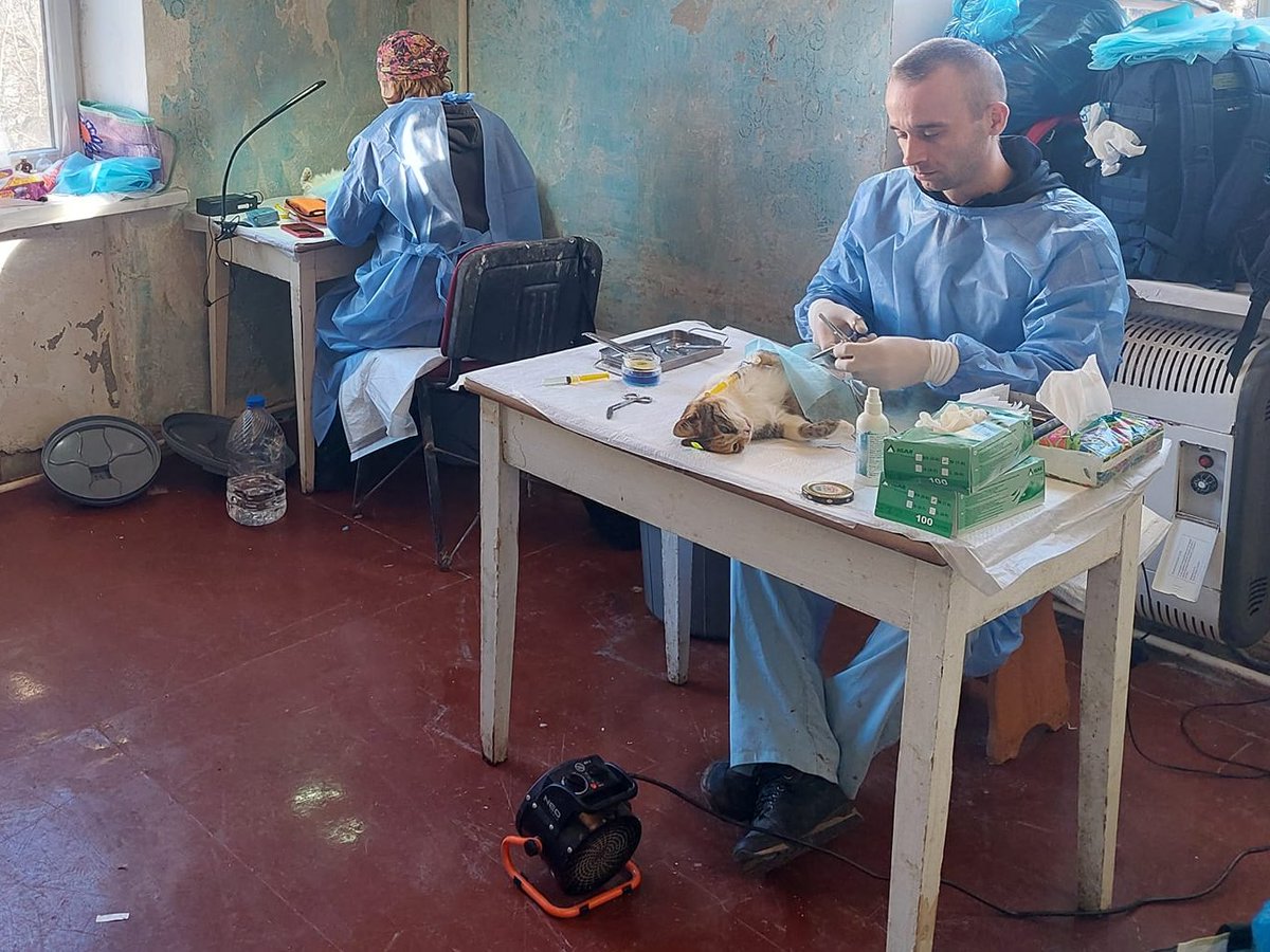 SelenaCaamano's tweet photo. 💙🩺M*A*S*H Veterinary Clinics💛
DAY6⃣ Spay-athon in Eastern Ukraine❄️
Packed everything up again, borrowed a generator from Animal Rescue Kharkiv @AnimalRescueKh and are on the way to the biggest challenge yet.
ℹ️ 🔗https://t.co/EZPpn0KOmU
#UWARF #PawsUnborn #Spayathon #Kharkiv https://t.co/GT6NeuwmFz