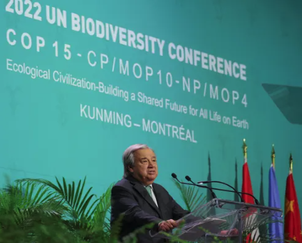 MarieCFiset's tweet photo. OUI! : « Avec notre appétit sans fond pour une croissance économique incontrôlée et inéquitable, l’humanité est devenue 1 arme d’extinction massive. Sans la nature, nous ne sommes rien » - @antonioguterres #COP15 #ProtectNature #Nature https://t.co/q7LjU0jUHb