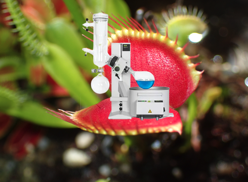 SigmaAldrich's tweet photo. You've heard of Elf on a Shelf, now get ready for: https://t.co/zhGaqNPK6R