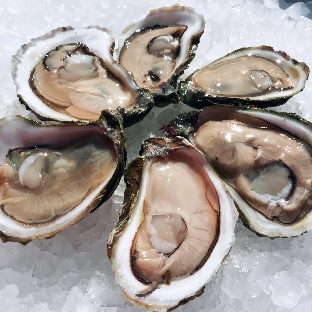 cedric_barberet's tweet image. Thursday December 8th 2022,
Fanny Bay Oyster from Baynes Sound, BC are our #OysterOfTheWeek! 
This Oyster offer a Mild briny flavor with a firm texture and a pronounced cucumber finish.
#ShellfishLover #OysterHead #Sustainable 
Limited availability
#OysterLover #Fishmonger
