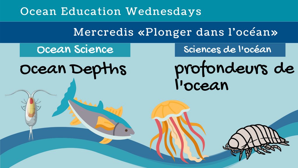 With #COP15 #NatureCOP going on in Montreal, take your students through the zones of the ocean with this throwback #OceanEducationWednesday. Find the slides in:
English: bit.ly/OEW_EN 
Français: bit.ly/OEW_FR1e