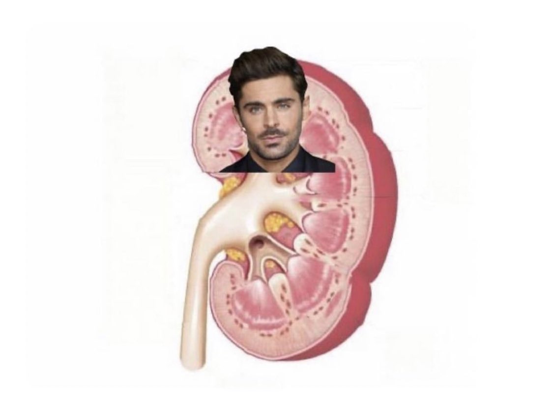 You’ve heard of elf on a shelf but have you heard of…