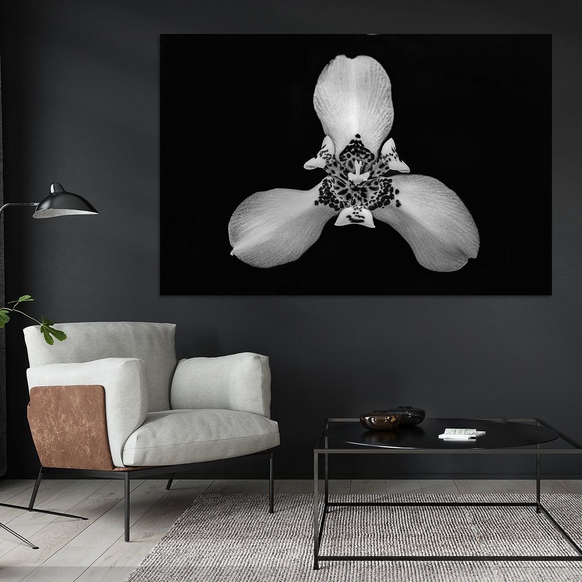 DTiggelman's tweet photo. Weer nieuw werken toegevoegd aan mij shop. Voor als je wel van planten houd maar niet van de verzorging 😁

#werkaandemuur #orchid #calathea https://t.co/p2r4c12ZaV
