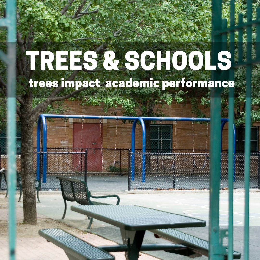 The Toronto District School Board has committed significant resources to tree planting and maintenance because the return on investment is clear. A study of 387 TDSB schools found significant correlations between tree canopy and student performance. bit.ly/3UgN9bT