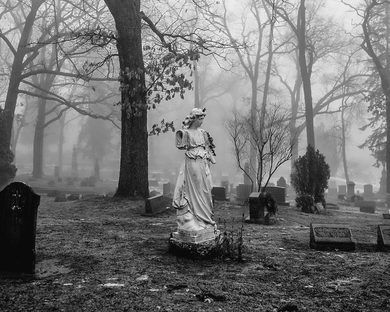 Part One — Ghosts on the Shore

"The boundaries which divide Life from Death are at best shadowy and vague. Who shall say where the one ends, and where the other begins" — Edgar Allan Poe