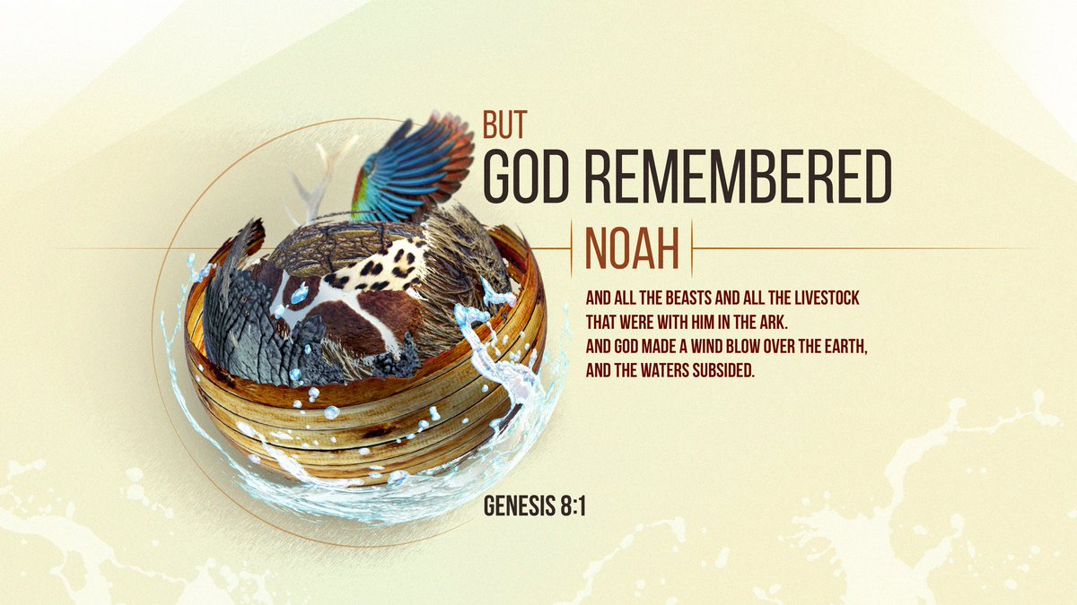 BC-Alliance (@bcalliance_) on Twitter photo 