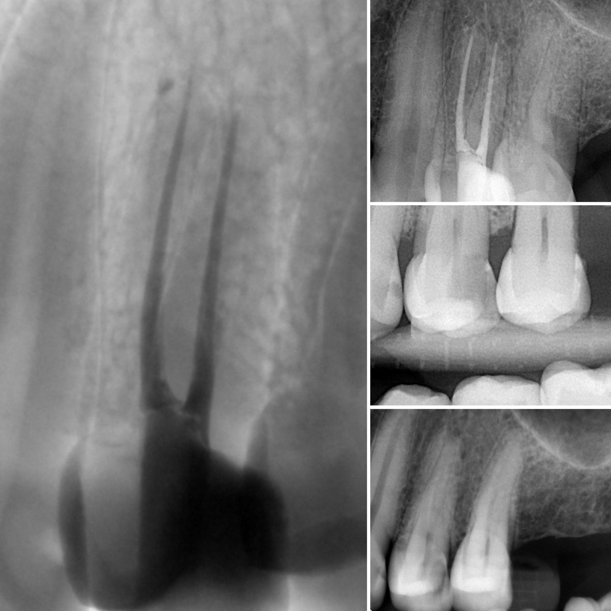 Dr. Faisal Binhassan tweet media