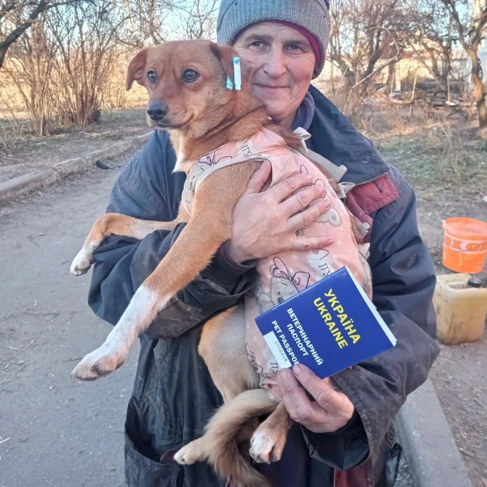 Yula the dog has a torn esophagus. He was injured by Russian shelling and abandoned by his former owners. Now he is staying with Olena, whose house was also destroyed by the invaders. Join the fundraiser to build warm booths for these unfortunate animals: uanimals.org/en/zbir/zbir-k…
