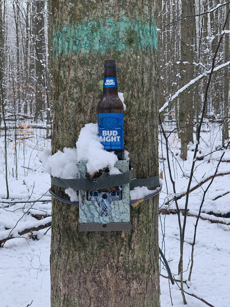 MDStarking's tweet photo. I guess this is a tiny bit better than smashing or stealing the camera..... but why?!?!?!?!?! #cameratraps STOP DESTROYING OR MESSING WITH MY DATA COLLECTION 😤 I am trying to help you have a forest with #wildlife in it https://t.co/f0kjXWJvbO