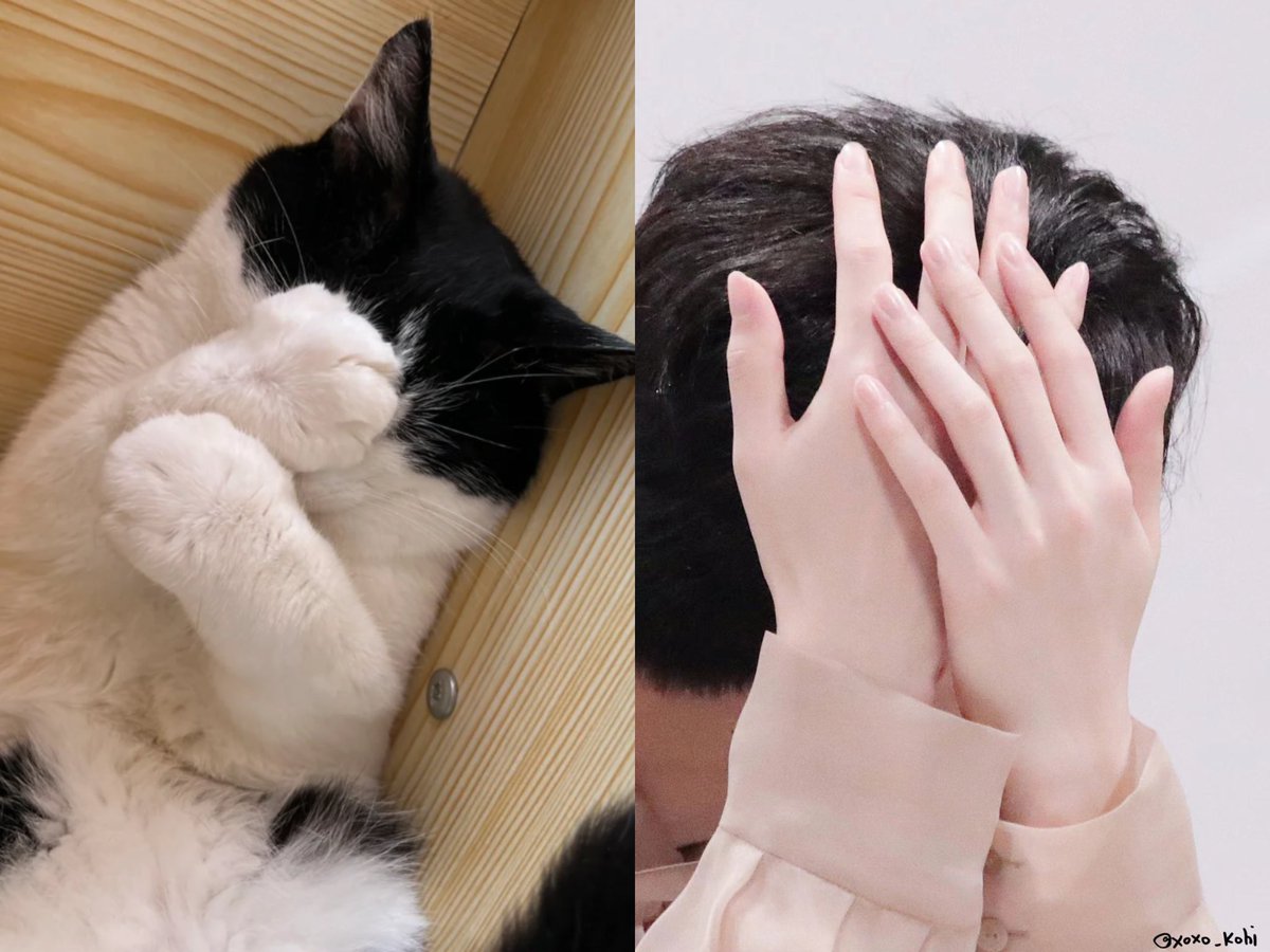 TidalLock_mm's tweet photo. 关于我猫塑儿儿上瘾这件事🐱🤩

#정현 #이정현 #Junghyun https://t.co/1WxgJ6z6NL