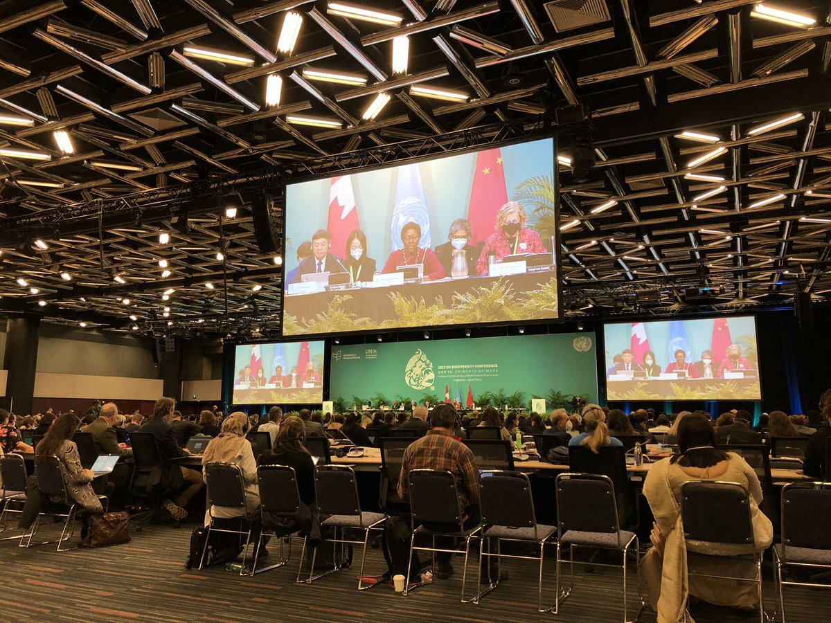 bio_diverse's tweet photo. “This is the moment for biodiversity and for action” @mremae welcomes all at the opening plenary of #COP15 

As you negotiate this historic agreement “I urge you to be a chorus rather than ensemble of soloists” https://t.co/06gh6Ztzrr