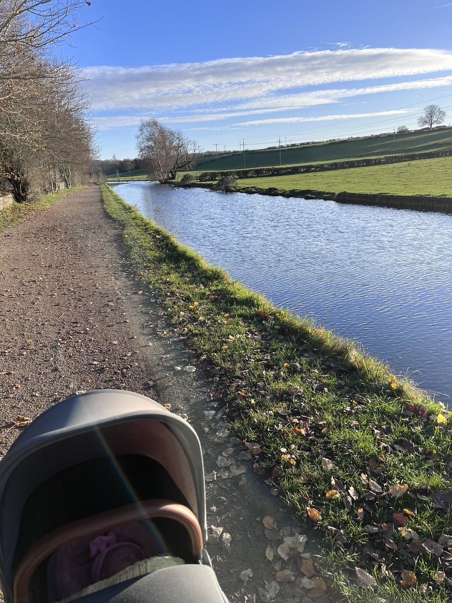 EmilyRankin16's tweet photo. Crisp air and sunny skies on my walk today along Rodley canal with my wee one @itvcalendar @itvweather @JonMitchellTV https://t.co/k9wxcbnh7M
