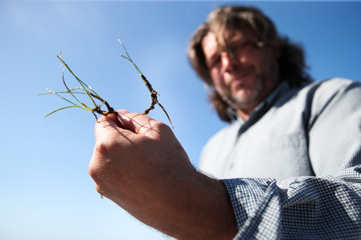 Max Chesnes tweet media