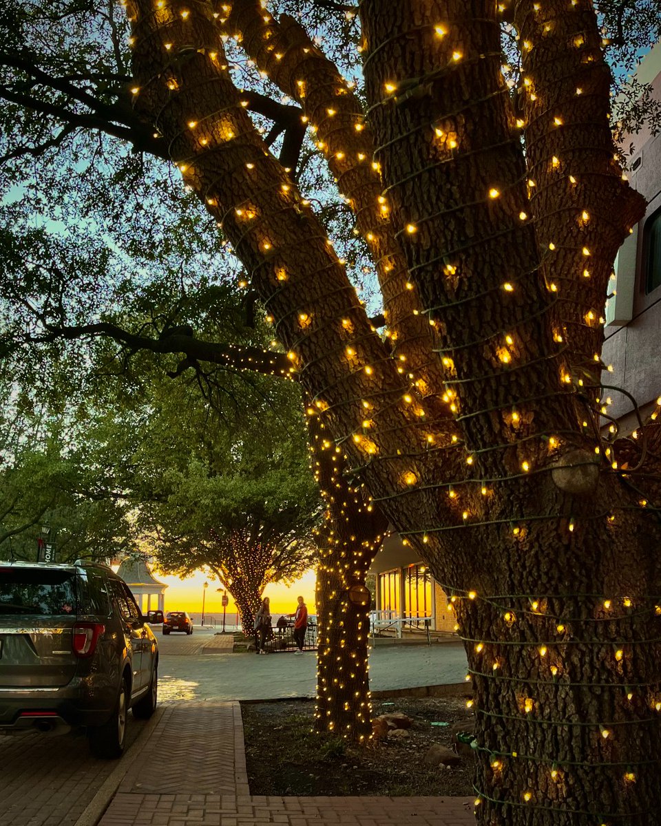 DBU_UWC's tweet photo. The Christmas lights around campus do seem to make all these late-night study sessions more bearable. #WritingCenter #Christmas #Study https://t.co/iNcQpxXr7Y