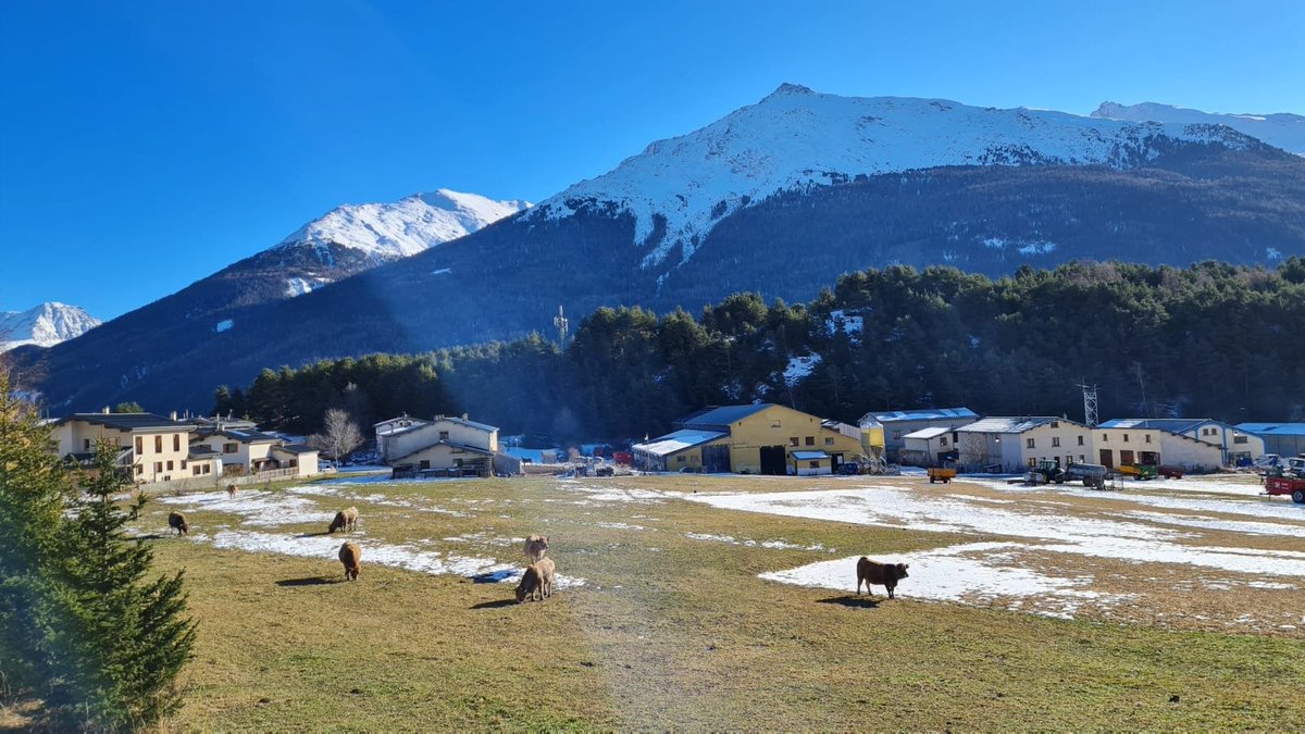 CATI_BARIC's tweet photo. Hackathon inter-cati 2022 à Aussois ; ça continue... https://t.co/OIQRZX9Okc