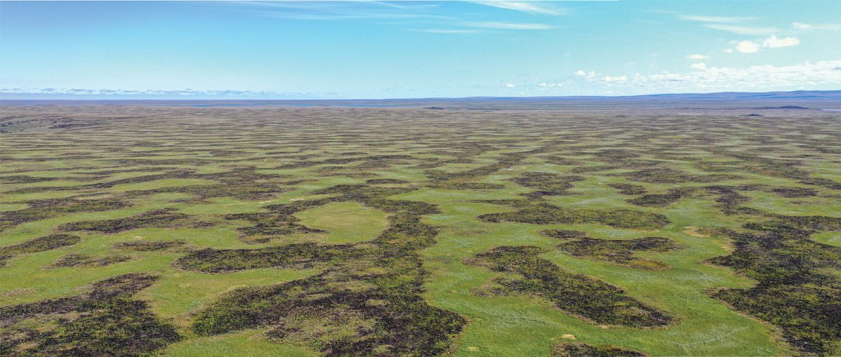 URPP GCB (@uzh_gcb) on Twitter photo Setting Siberia ablaze - what drove the #arctic #fires of 2019-2021? New paper out by <a href="/GabrielaSchaep1/">Gabriela Schaepman</a> and colleagues in <a href="/ScienceMagazine/">Science Magazine</a> Setting Siberia ablaze - what drove the #arctic #fires of 2019-2021? New paper out by <a href="/GabrielaSchaep1/">Gabriela Schaepman</a> and colleagues in <a href="/ScienceMagazine/">Science Magazine</a>