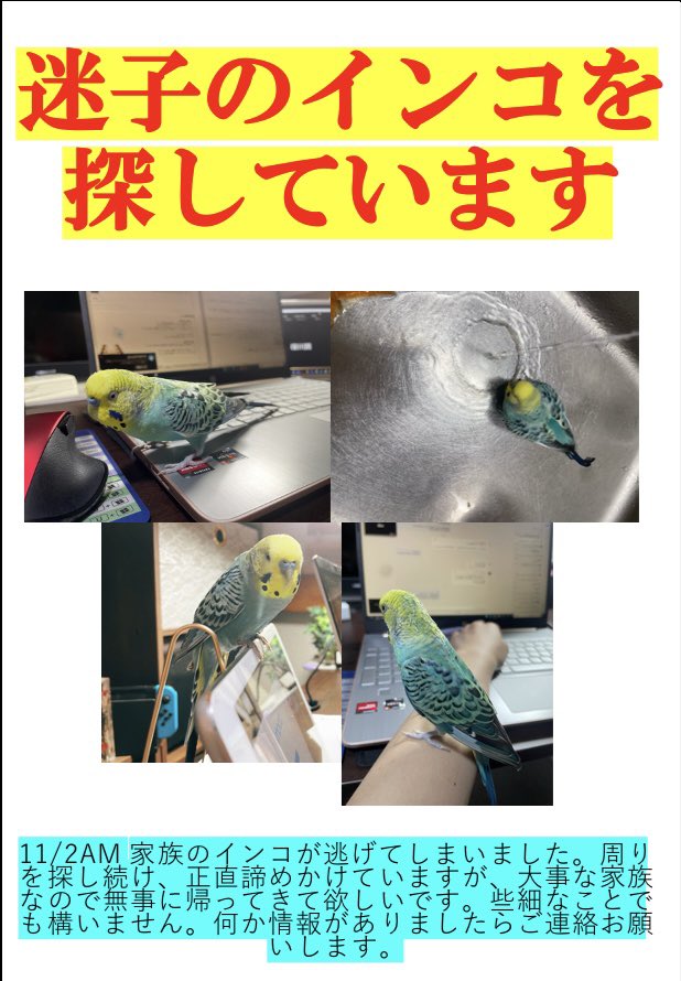 ⛰ (@v7nwGZMNCfnO35l) / Posts / X