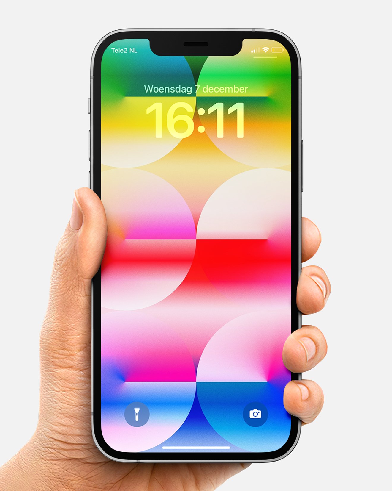 My Image 20