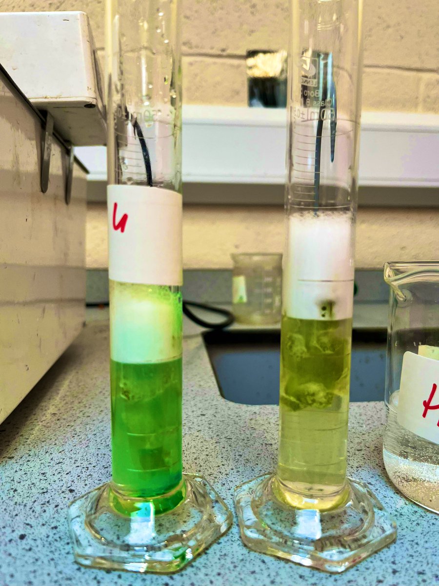 5th Year Biology students investigated the effects of pH on the enzyme Catalase found in celery earlier today 👩🏼‍🔬👨🏾‍🔬🥽🧪🫧 <a href="/OldBawnCS/">Old Bawn Community School</a>