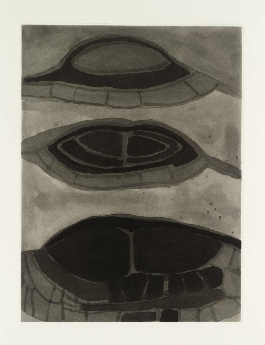 TateArtBot's tweet photo. Terry Winters, Field Note (20), 1992 #terrywinters #museumarchive https://t.co/r0AUV8GNiS https://t.co/VC0yOGgeDa
