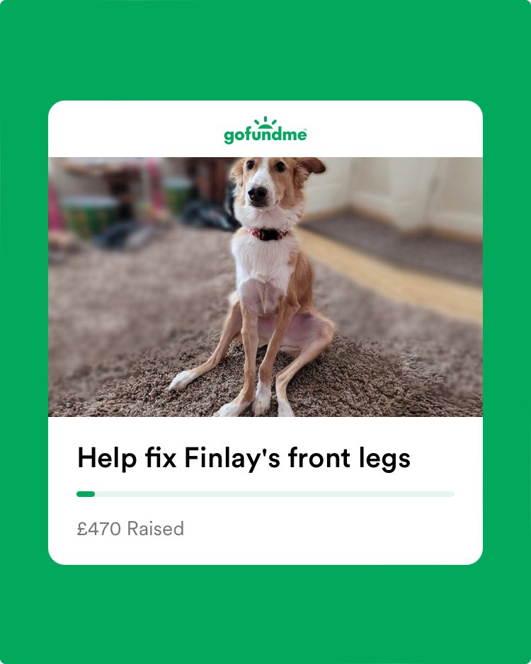 Angel Jim.Aviator & Peggy (@sallyjainw) on Twitter photo 