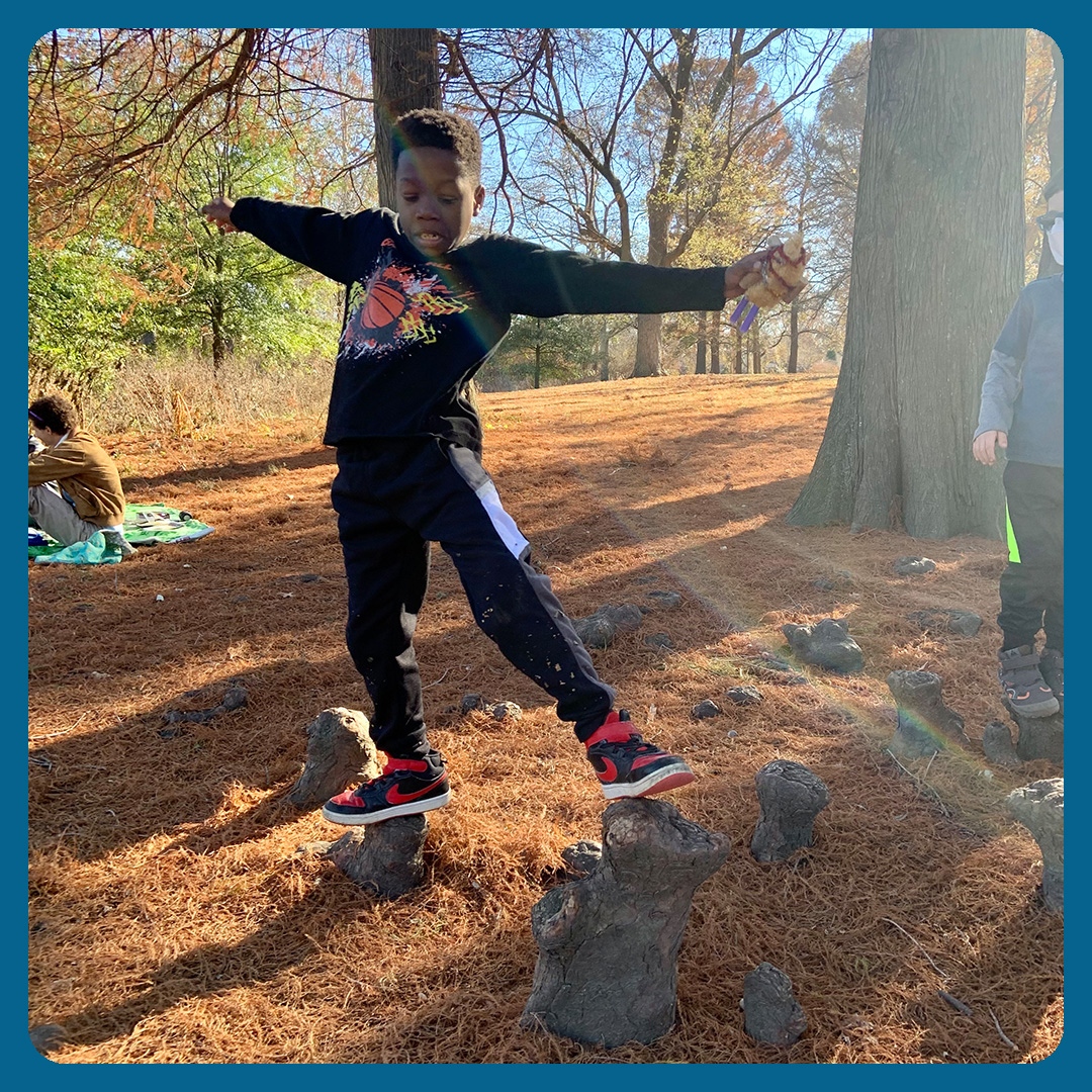 Fun fact, the “knees”or upward growing roots of a Bald Cypress tree are called pneumatophores and are theorized to provide structural support and oxygen absorption, but no one really knows why they grow…