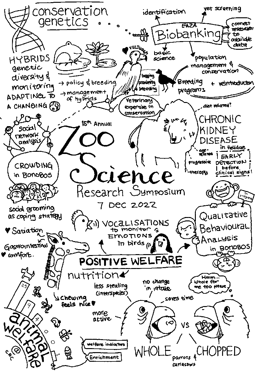 b_kriengwatana's tweet photo. A wonderful day of learning about the variety of #research happening at @zooplanckendael &amp; @zooantwerpen !!!

Had a great time presenting our project @M3BIORES and I loved making this visual summary
#sciart https://t.co/S2VdUPWzol